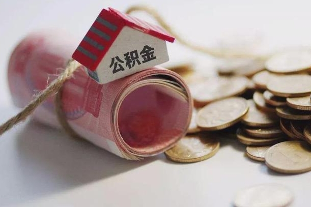 浙江补充公积金（补充公积金怎么查）